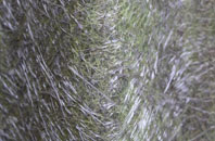 Eyeworth fibreglass roof work